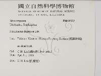 登錄號:F0018552藏品圖，第2張