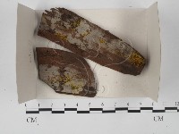 登錄號:F0018552藏品圖，第1張