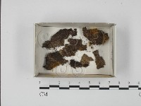 登錄號:F0018553藏品圖，第1張