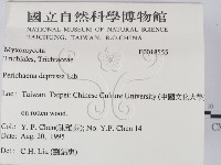 登錄號:F0018555藏品圖，第2張