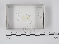 登錄號:F0018557藏品圖，第1張