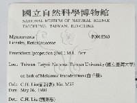 登錄號:F0018563藏品圖，第2張