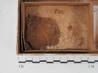登錄號:F0018567藏品圖，第1張