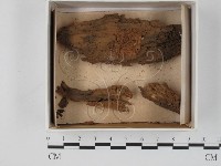 登錄號:F0018569藏品圖，第1張