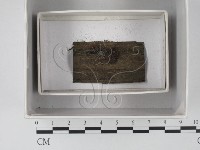 登錄號:F0018570藏品圖，第1張