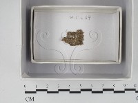 登錄號:F0018572藏品圖，第1張