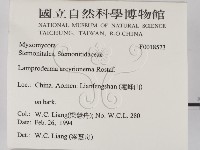 登錄號:F0018573藏品圖，第2張