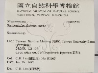 登錄號:F0018574藏品圖，第2張