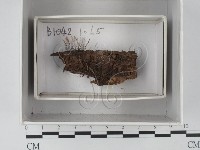 登錄號:F0018574藏品圖，第1張