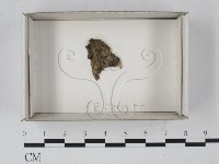 登錄號:F0018575藏品圖，第1張