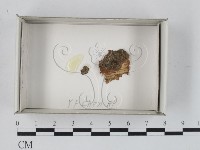 登錄號:F0018576藏品圖，第1張