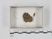 登錄號:F0018578藏品圖，第1張