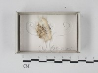 登錄號:F0018579藏品圖，第1張