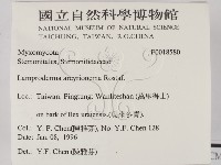 登錄號:F0018580藏品圖，第2張
