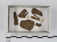 登錄號:F0018580藏品圖，第1張