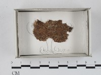 登錄號:F0018581藏品圖，第1張