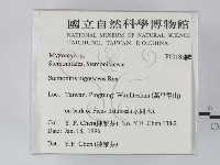 登錄號:F0018582藏品圖，第2張