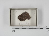 登錄號:F0018582藏品圖，第1張