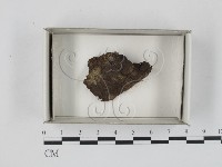 登錄號:F0018587藏品圖，第1張