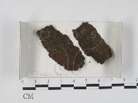 登錄號:F0018588藏品圖，第1張