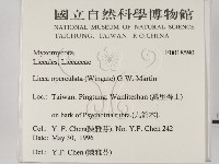 登錄號:F0018590藏品圖，第2張