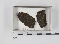 登錄號:F0018590藏品圖，第1張