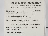 登錄號:F0018591藏品圖，第2張