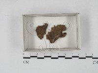 登錄號:F0018592藏品圖，第1張