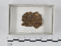 登錄號:F0018594藏品圖，第1張