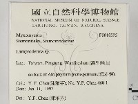登錄號:F0018595藏品圖，第2張