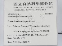 登錄號:F0018597藏品圖，第2張