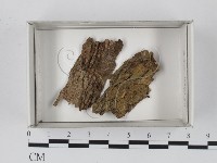 登錄號:F0018597藏品圖，第1張