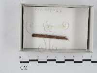 登錄號:F0018598藏品圖，第1張