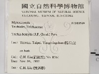 登錄號:F0018599藏品圖，第2張