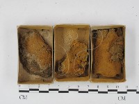 登錄號:F0018600藏品圖，第1張