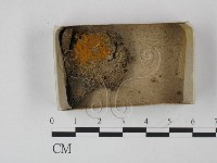 登錄號:F0018601藏品圖，第1張
