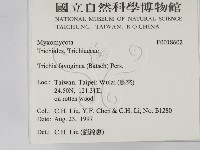 登錄號:F0018602藏品圖，第2張