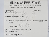 登錄號:F0018605藏品圖，第2張