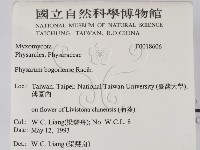 登錄號:F0018606藏品圖，第2張