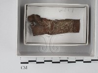 登錄號:F0018606藏品圖，第1張