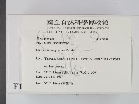 登錄號:F0018609藏品圖，第2張
