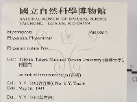 館號:F0018610藏品圖，第2張