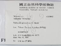登錄號:F0018612藏品圖，第2張