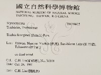 登錄號:F0018615藏品圖，第2張