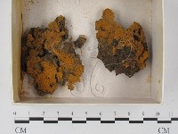登錄號:F0018615藏品圖，第1張