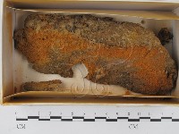 登錄號:F0018617藏品圖，第1張