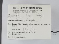 登錄號:F0018619藏品圖，第2張