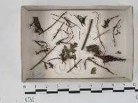 登錄號:F0018622藏品圖，第1張