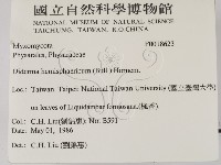 登錄號:F0018623藏品圖，第2張