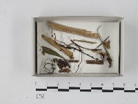 登錄號:F0018626藏品圖，第1張